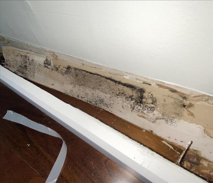 baseboard removal showing mold growth in water damaged area